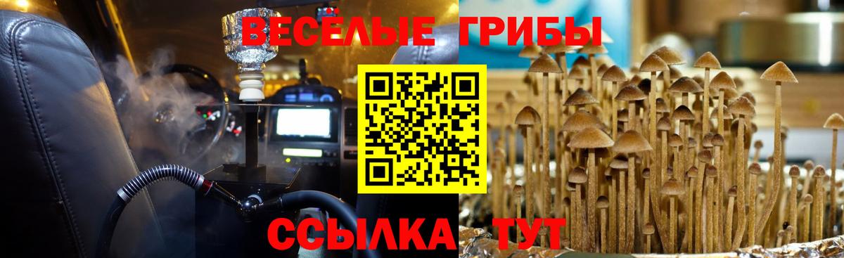 Псилоцибиновые грибы прущие грибы Ахтубинск